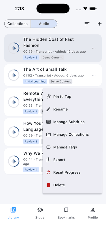 Echo Loop audio library